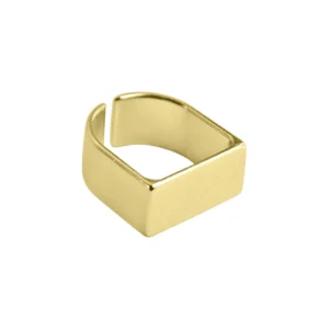 Anel Luciana Base reta com abertura